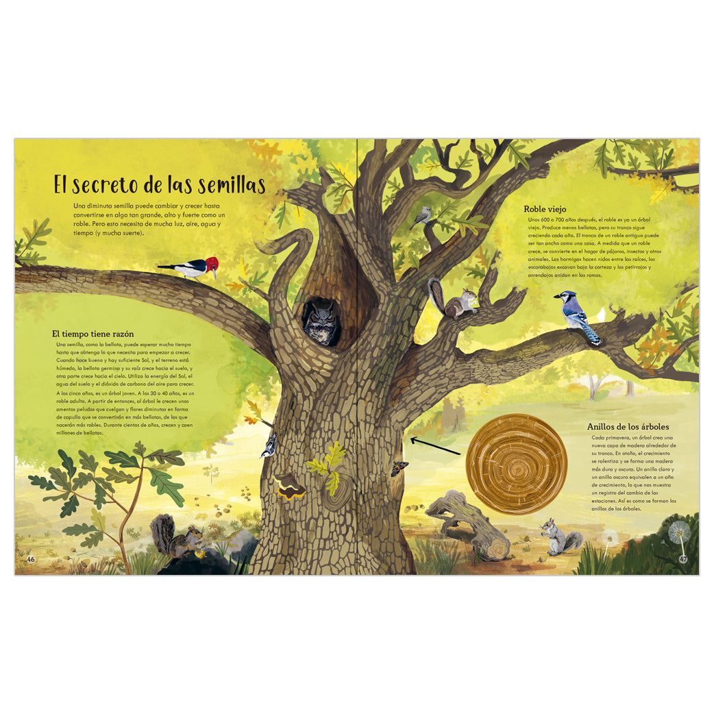 TODAS LAS COSAS CAMBIAN