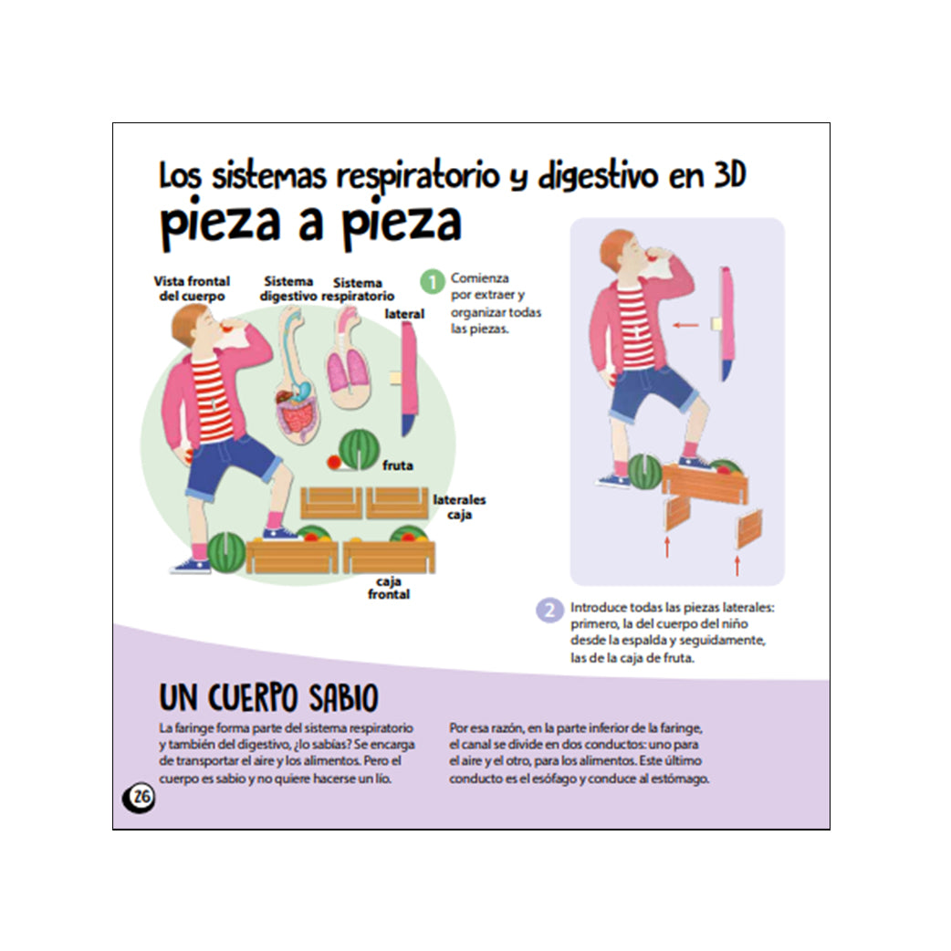 CUERPO HUMANO... KIT DE CONSTRUCCIÓN + LIBRO