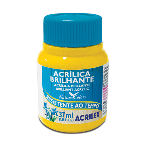 PINTURA ACRÍLICA BRILLANTE 37 ML