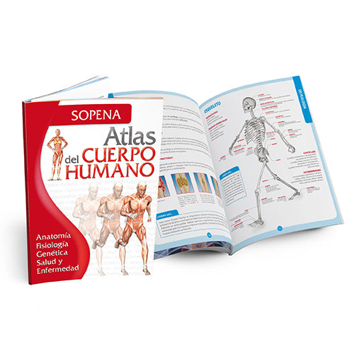 ATLAS DEL CUERPO HUMANO