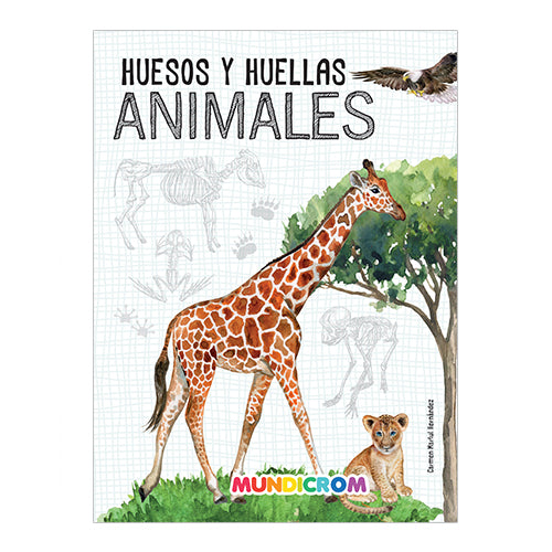 HUESOS Y HUELLAS ANIMALES