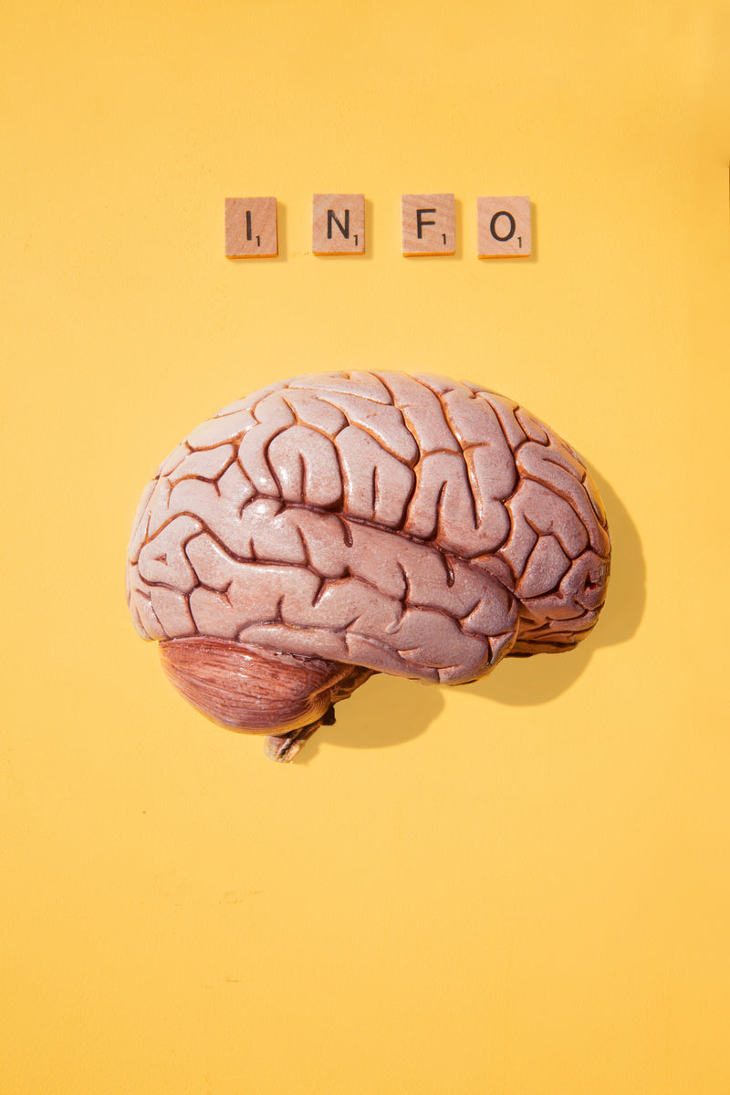 PARTES DEL CUERPO